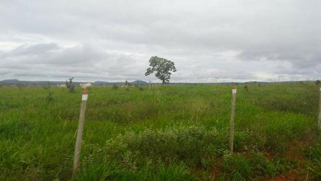 300 Alqs 200 Em Pasto Excelente Fazenda Paraúna GO - Foto 7