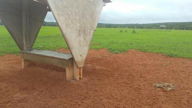 300 Alqs 200 Em Pasto Excelente Fazenda Paraúna GO - Foto 14