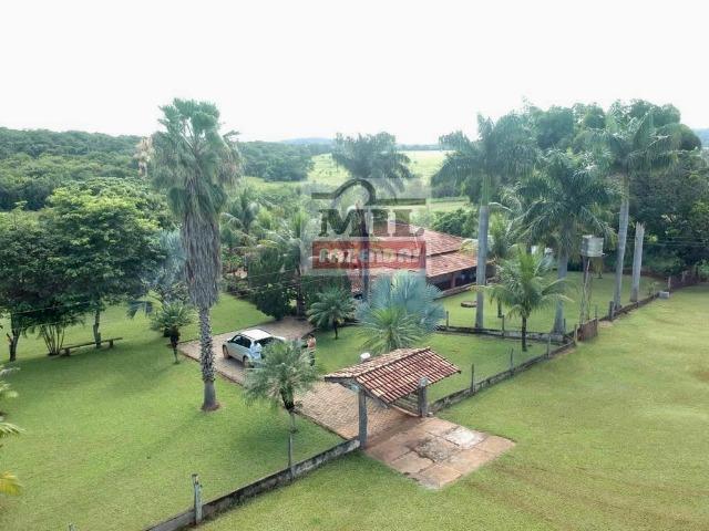Fazenda 30 alqueires ( 145,20 ha ) Guapó-GO soja e pecuária - Foto 2