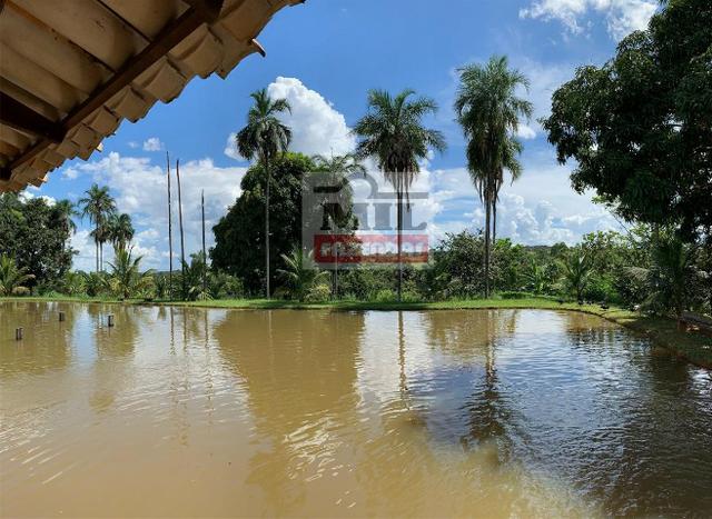 Venda ou Troca por Terra Maior,Chácara 8 alqueires e 25 litros - Bela Vista de Goiás - Foto 13