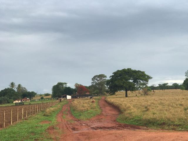 Fazenda plana e rica em água, 24 Alqueires (116.16 ha ) Bela Vista de Goias - Foto 6