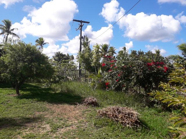 Fazenda 150 tarefas em Conde - Foto 3