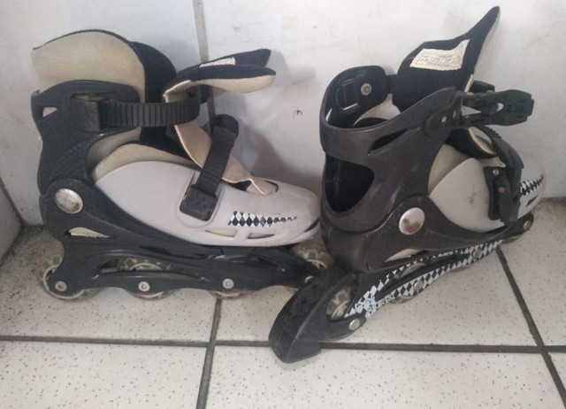 olx patins porto alegre
