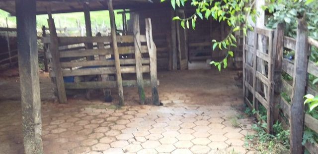 Vendo Sitio em Pouso Alto - MG - Foto 3