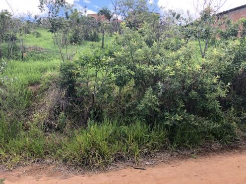 Loteamento/condomínio à venda em Jardim paulo maia, Caxambu cod:1470