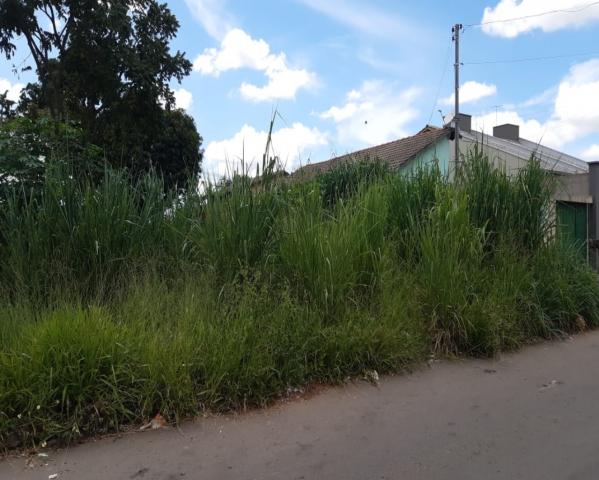 Terreno à venda com 0 dormitórios em Jardim dos buritis, Aparecida de goiânia cod:CGM038