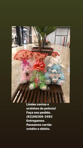Lindas cestas e ursos - Foto 4