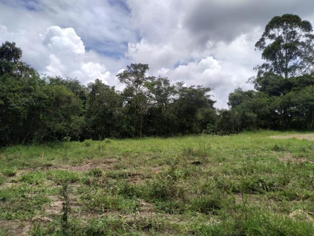 Chácara de 2000 mts água corrente e pagto facilitado - Foto 10