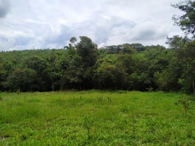 Chácara de 2000 mts água corrente e pagto facilitado - Foto 19