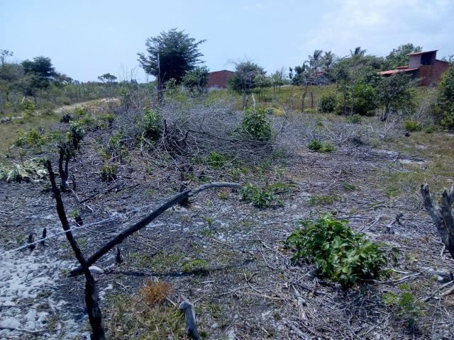 Vende-se terreno em Barreirinhas:MA - Foto 4