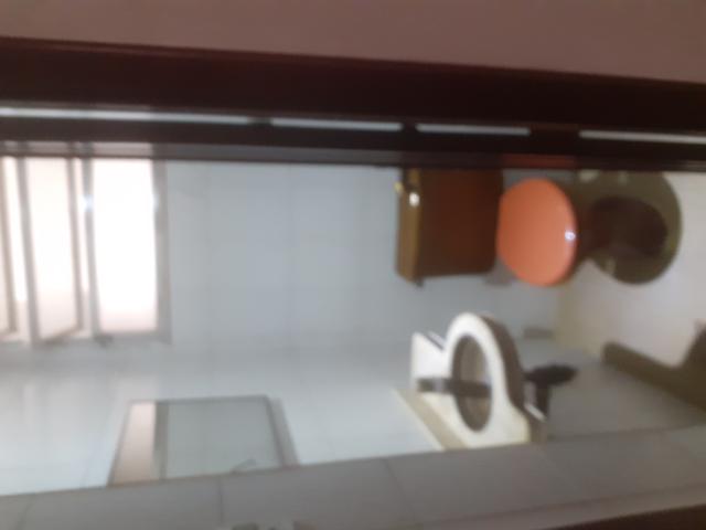 Lindo e amplo apt. Em Icaraí - Foto 5