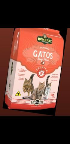Ração para gatos baratas!