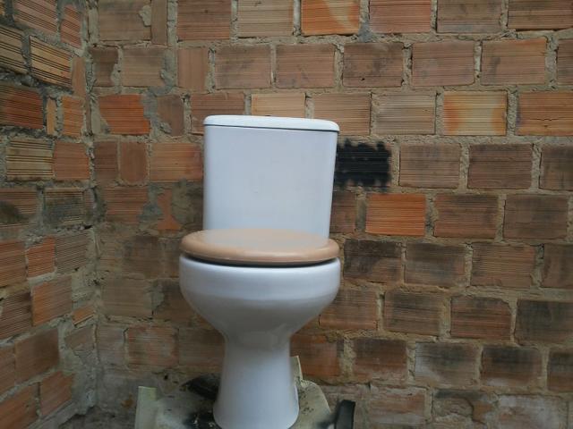 Vaso sanitario - Foto 5