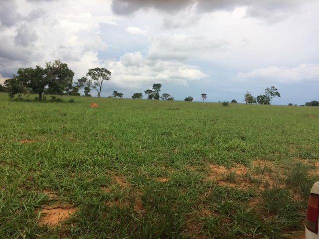 Fazenda rural à venda, Residencial Náutico, Três Marias. - Foto 6