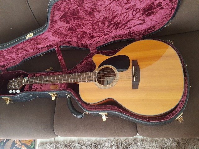 case takamine