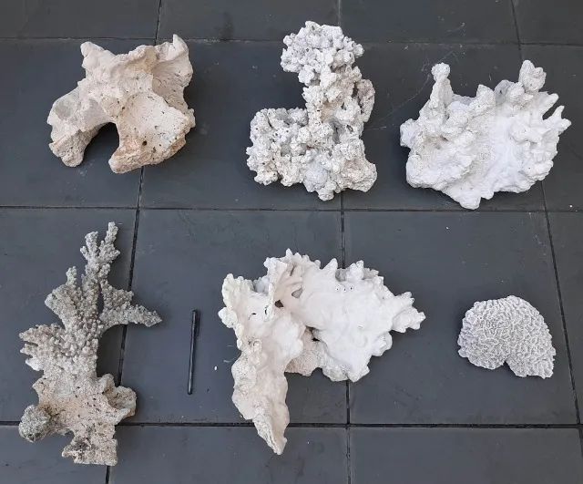 Corais e rochas grandes para aquário (peças raras)