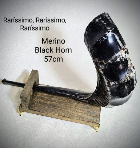 Shofar de Carneiro Merino Black Horn EXTREMAMENTE RARO!