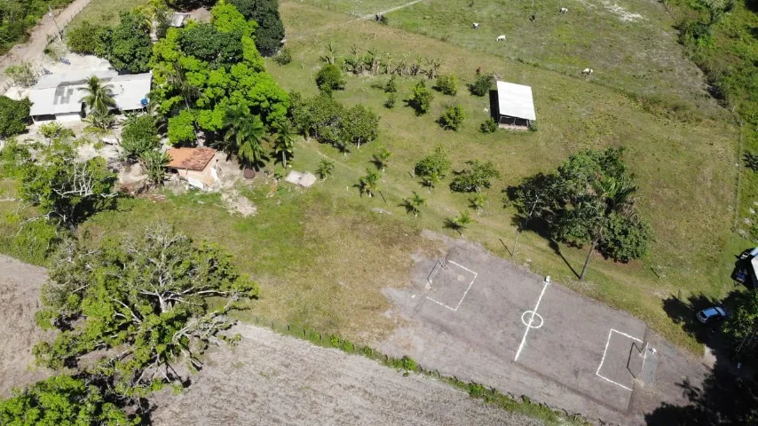 Fazenda São Francisco do Pará- 40 Hectares