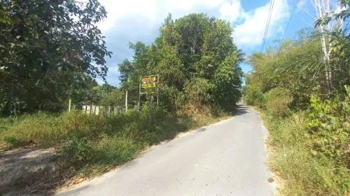 foto - Manaus - Colônia Terra Nova