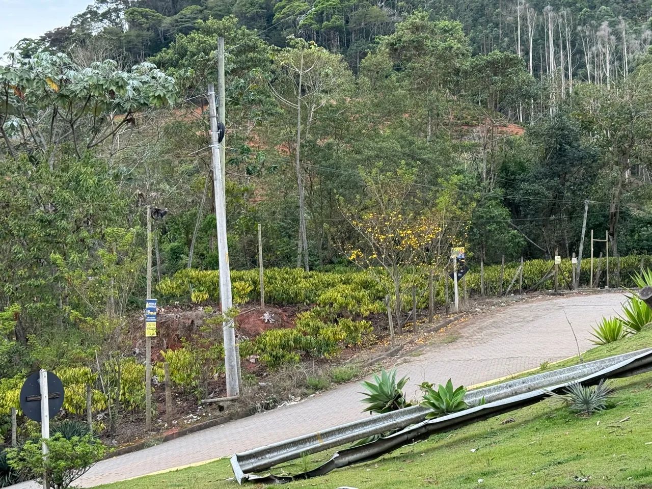 Terreno em Santa Teresa - Foto 7