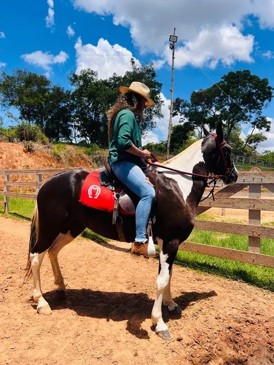 Linda égua Paint Horse - Foto 3