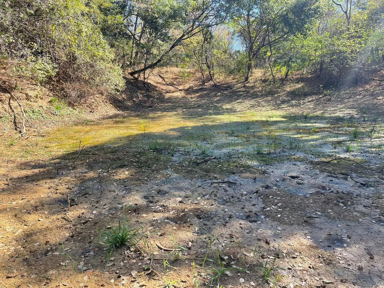 Area 240 Hecatres!! Escriturada e Geo Referenciada!!!Aceita veiculo e Imovel... - Foto 7