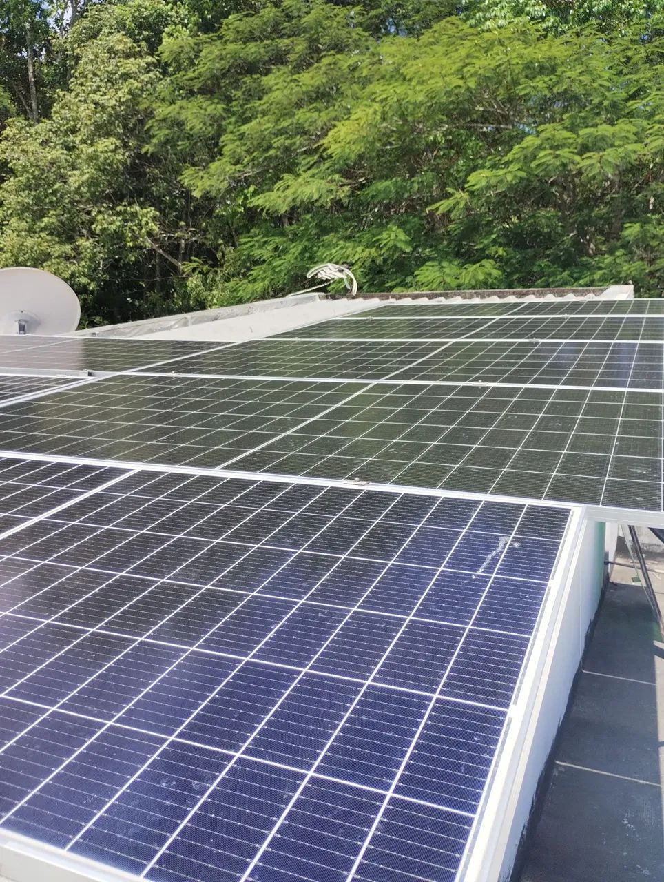 Sócio investidor  - Foto 2