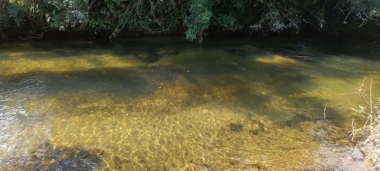 Sítio Com Rio Aiuruoca e Cachoeira ! 