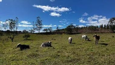 Sítio á venda, 18,39Ha, com nascente e Rio - Pilar do Sul - SP