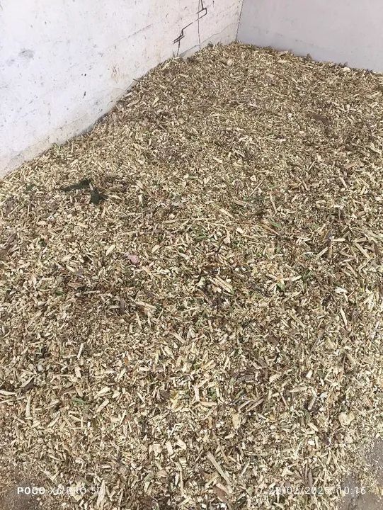 Enciladeira e triturador forrageiro - Foto 4