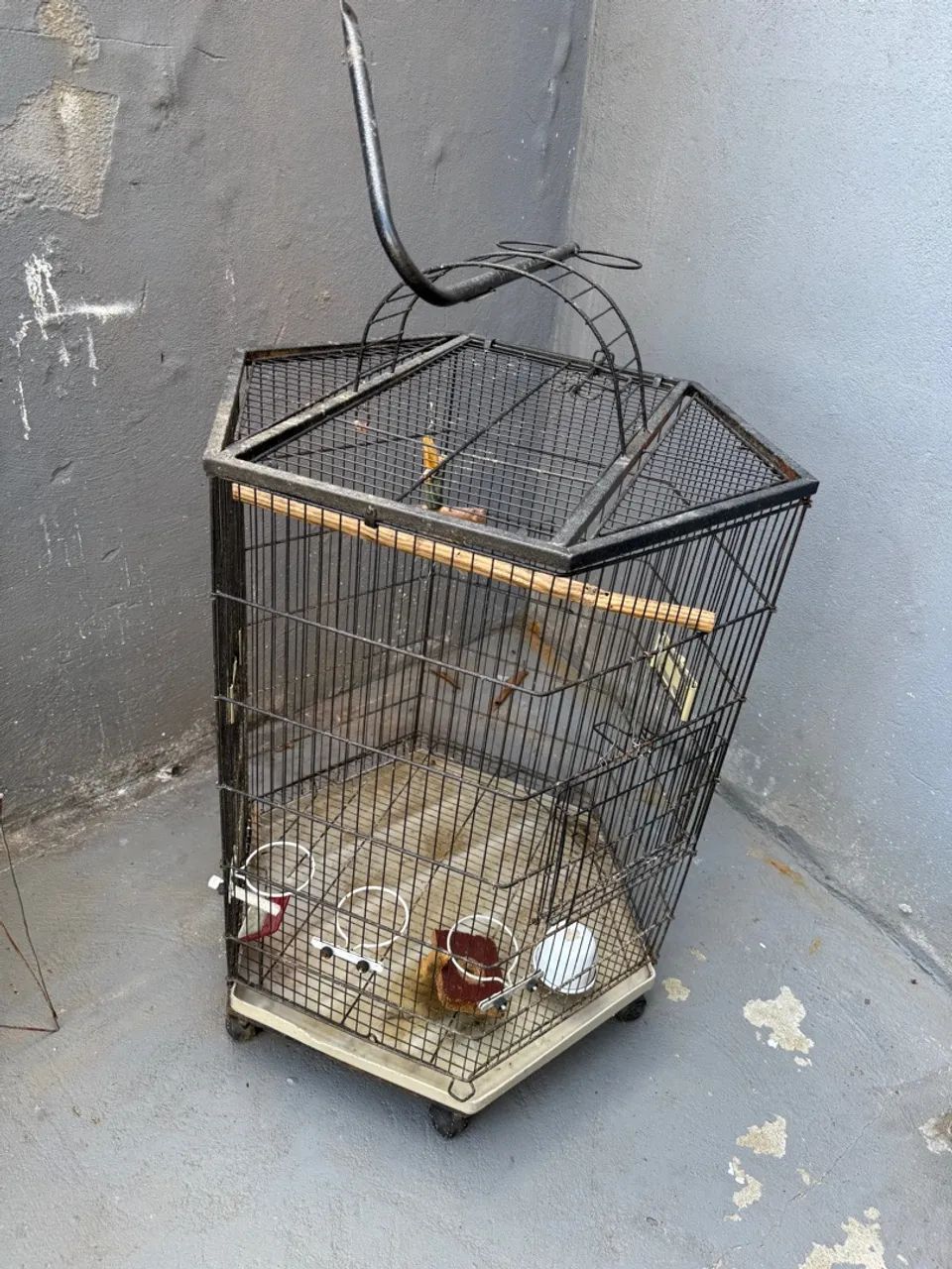 Viveiro - Gaiola para pássaros grandes  - Foto 5