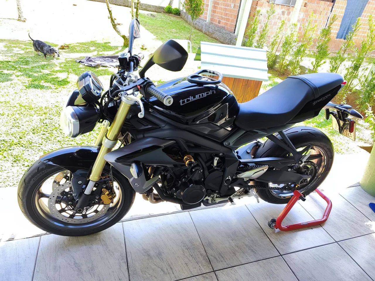 Triumph Triple 675 2013 - 1464031827 | OLX