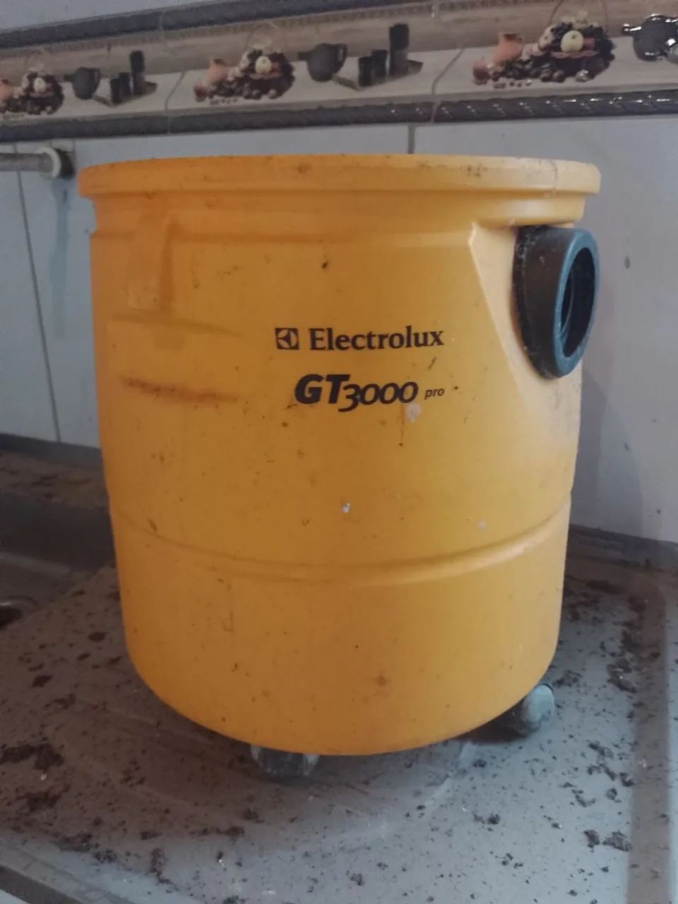 Aspirador de pó Electrolux GT3000