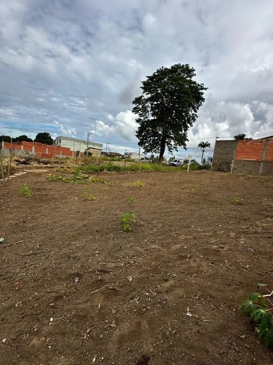 Lote Excelente localização  - Foto 3
