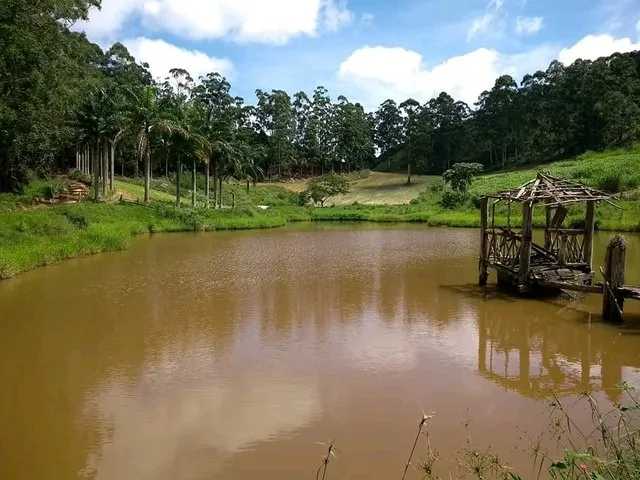 Fazenda de Café no Sul do Espírito Santo - Grande oportunidade