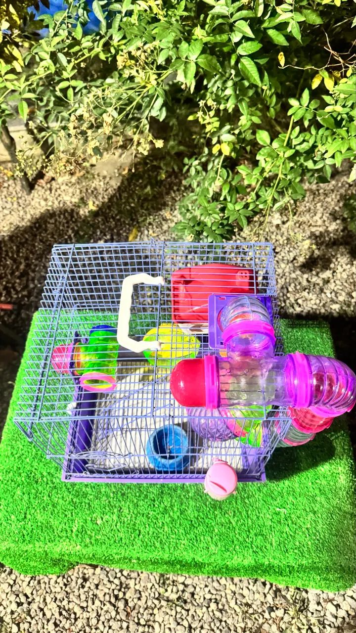 Gaiola Para Hamster/Rato 64684119243650123