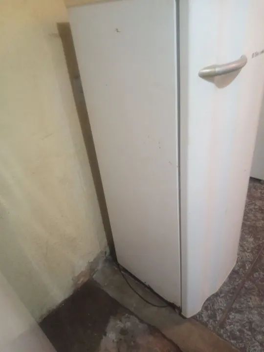 Geladeira Eletrolux 