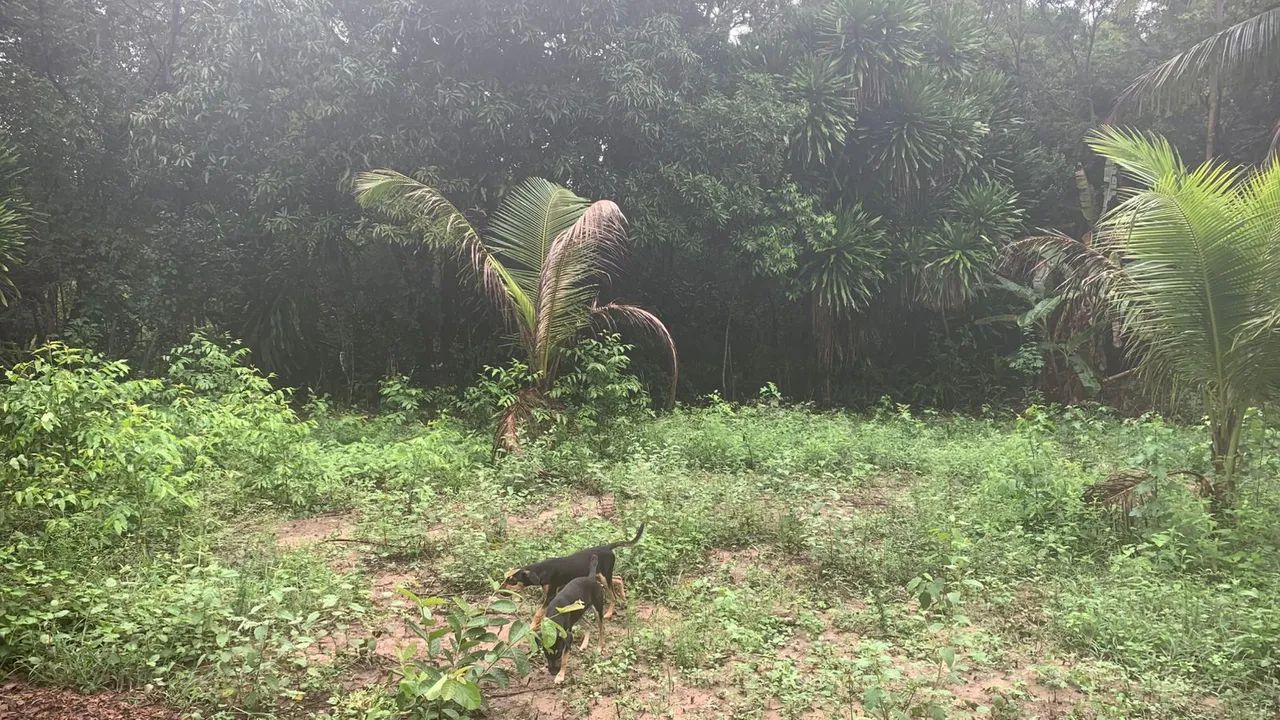 VENDO TERRENO ENTRE BARRA DE JACUIPE  MONTE GORDO  38 MIL - Foto 2