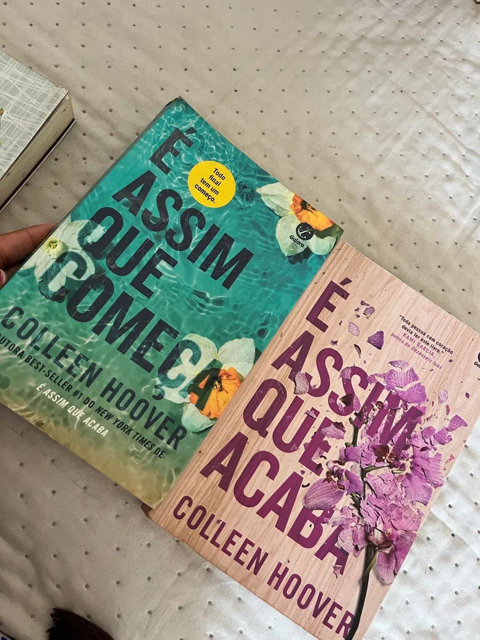 Livro é assim que acaba e é assim que começa 