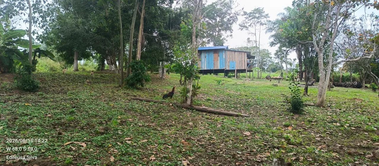 VENDO CHÁCARA A 25 MINUTOS DA CIDADE  - Foto 4