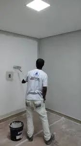 Pintor profissional  - Foto 2