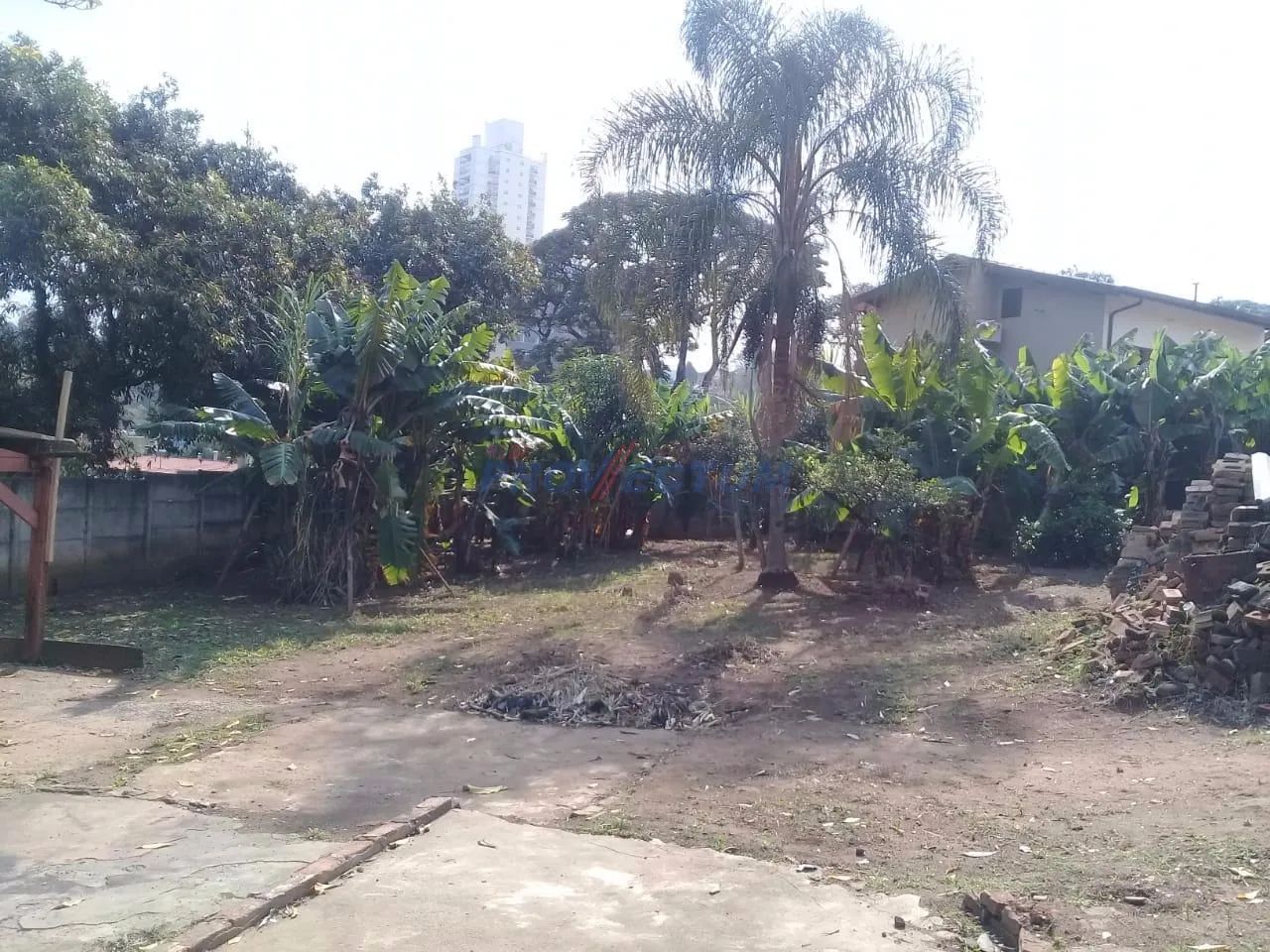 terreno - Jardim Chapadão - Campinas