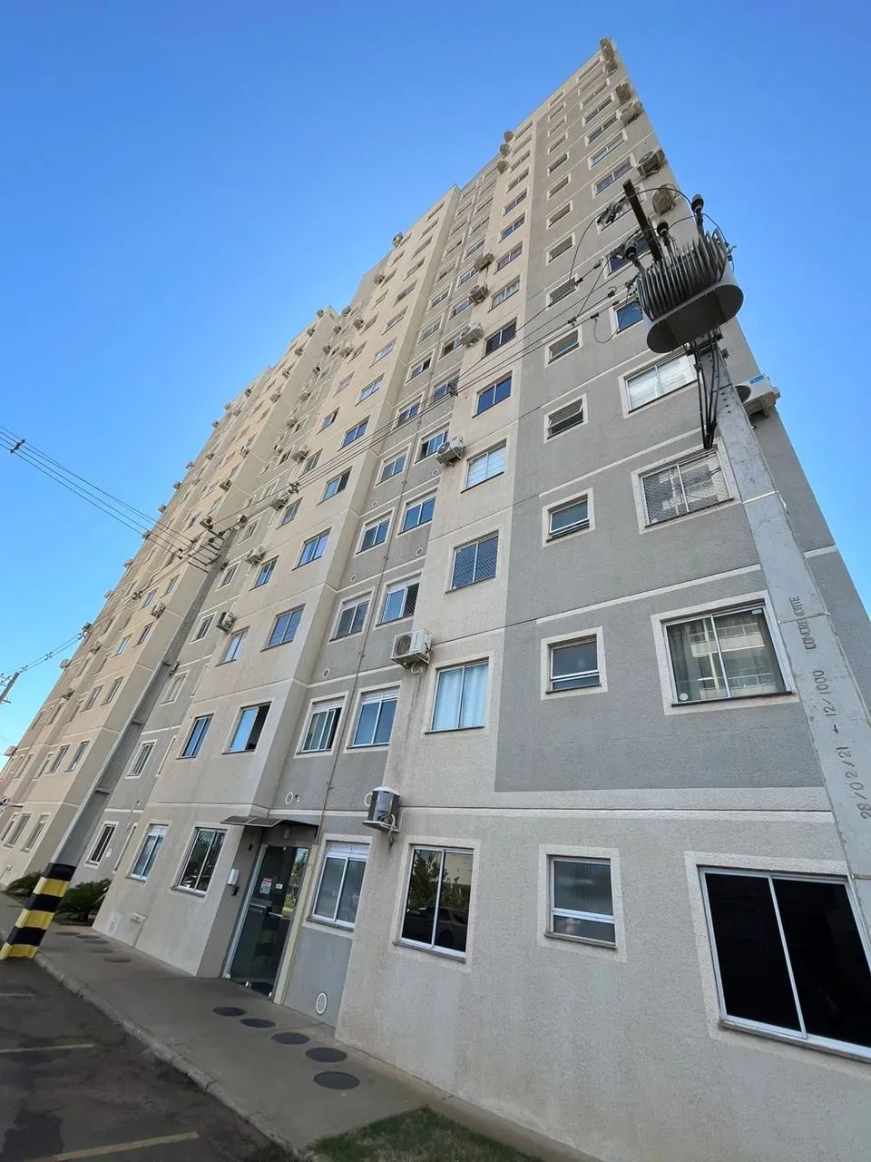 Palmeira Dourada - Foto 3