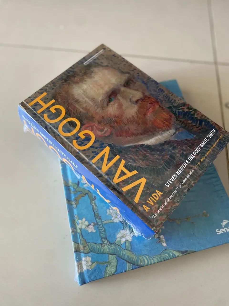 2 LivroVan Gogh