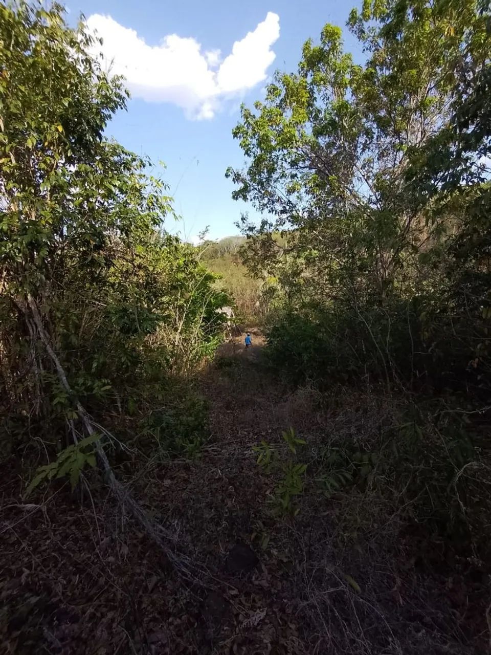 Terreno a venda  - Foto 2