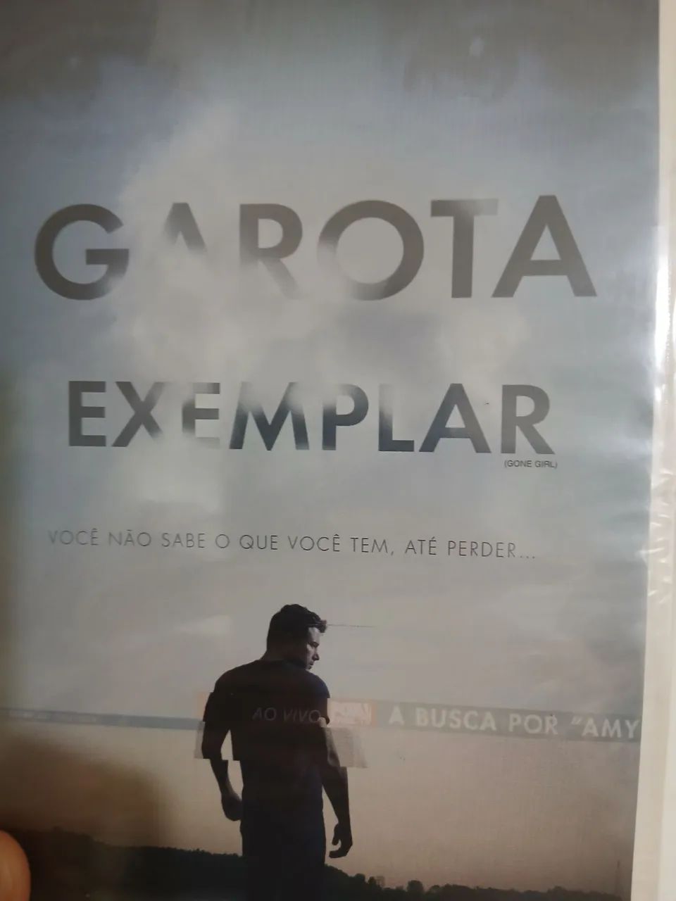 DVD Garota Exemplar 