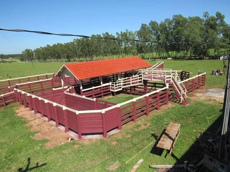 Construtor Pecuaria MS - Foto 2