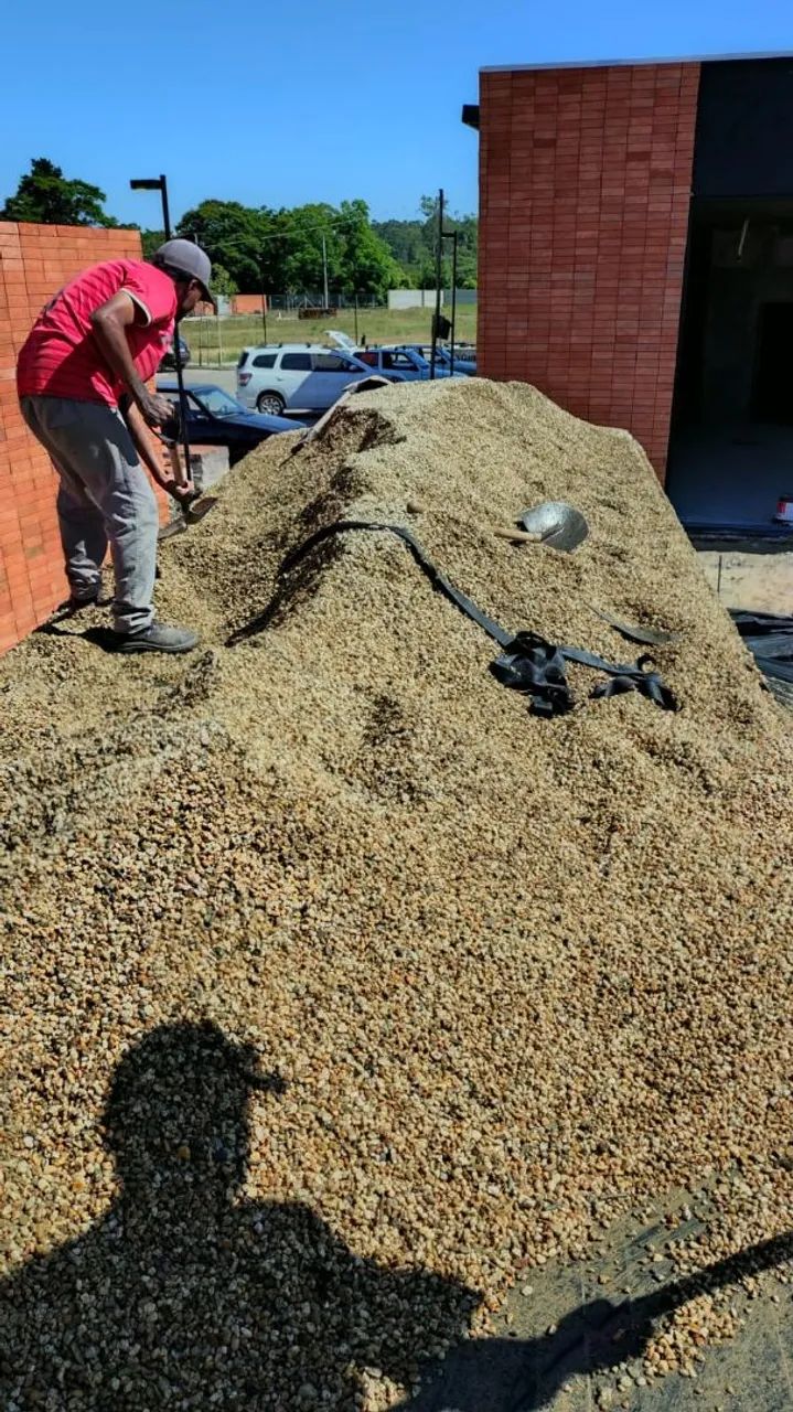 Seixo65093785284993120