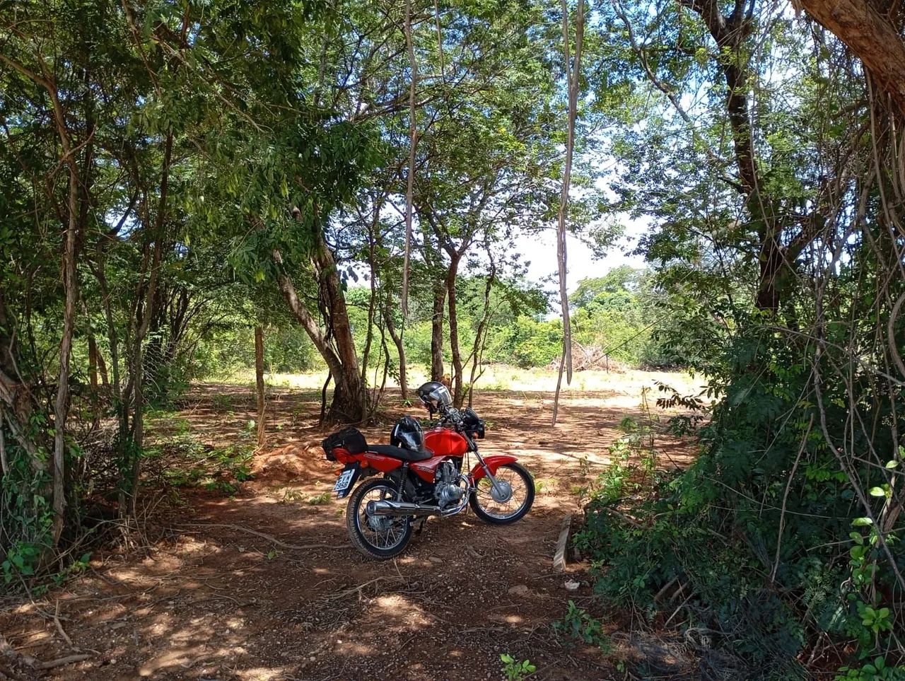 Foto - Montes Claros - Novo Delfino