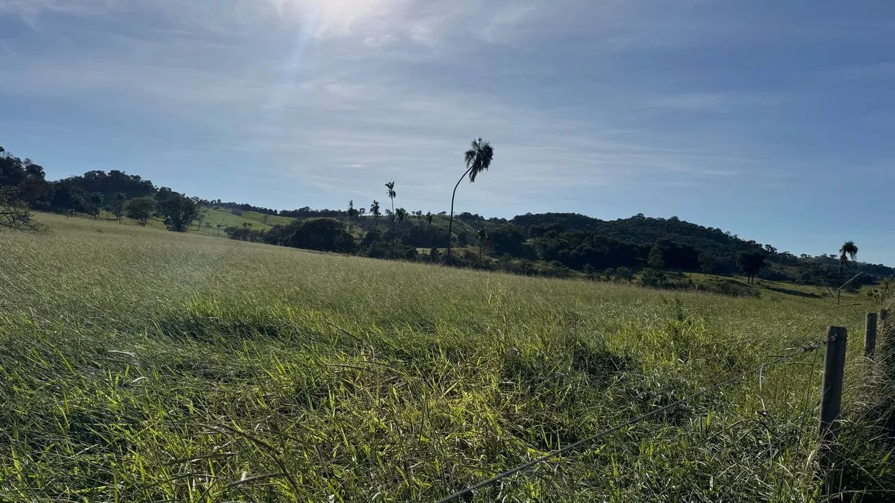 Chácara em Taquaral Go  - Foto 2